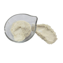 Factory Supply Dehydrated Onion Powder Best Price